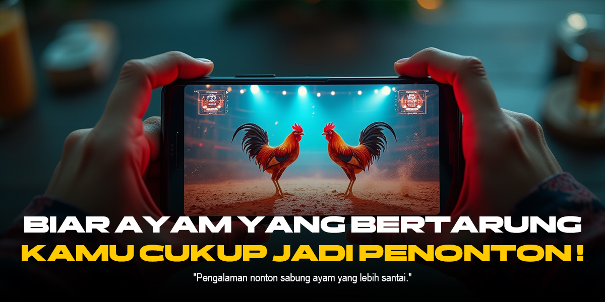 Kenali Jenis Ayam Bangkok dalam Sabung Ayam SV388 yang Legendaris