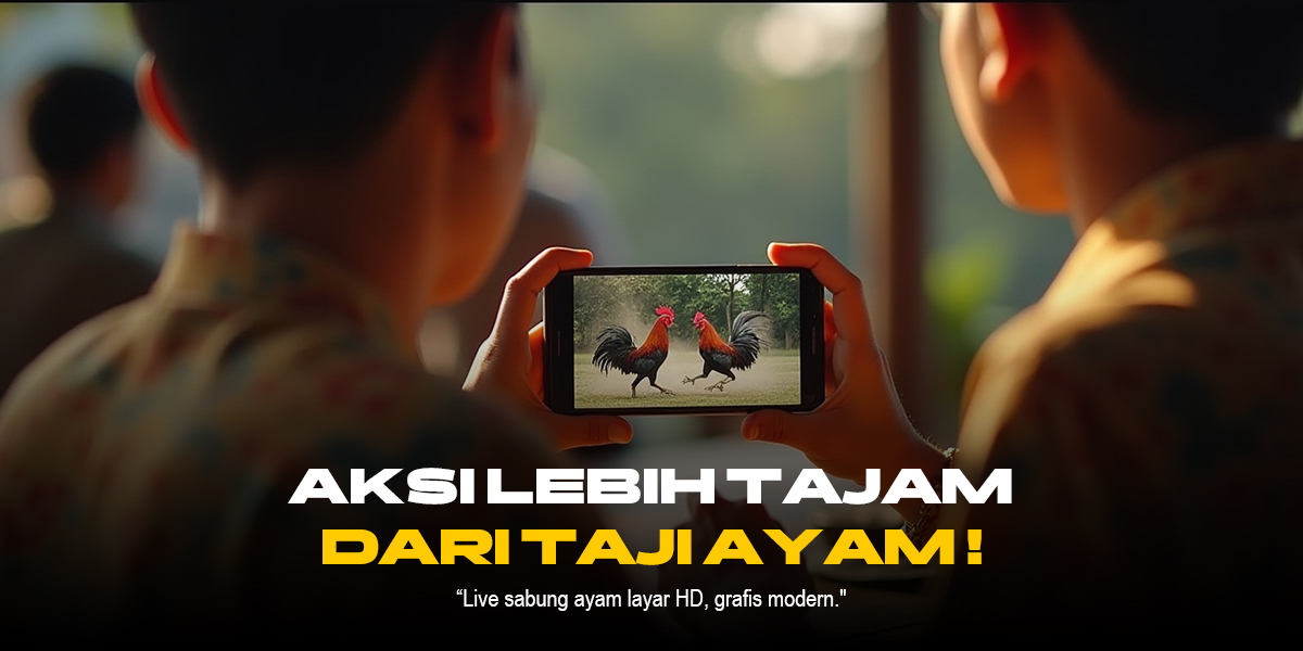 Mengenal Jenis Ayam Aduan dan Odds Sabung Ayam di SV388